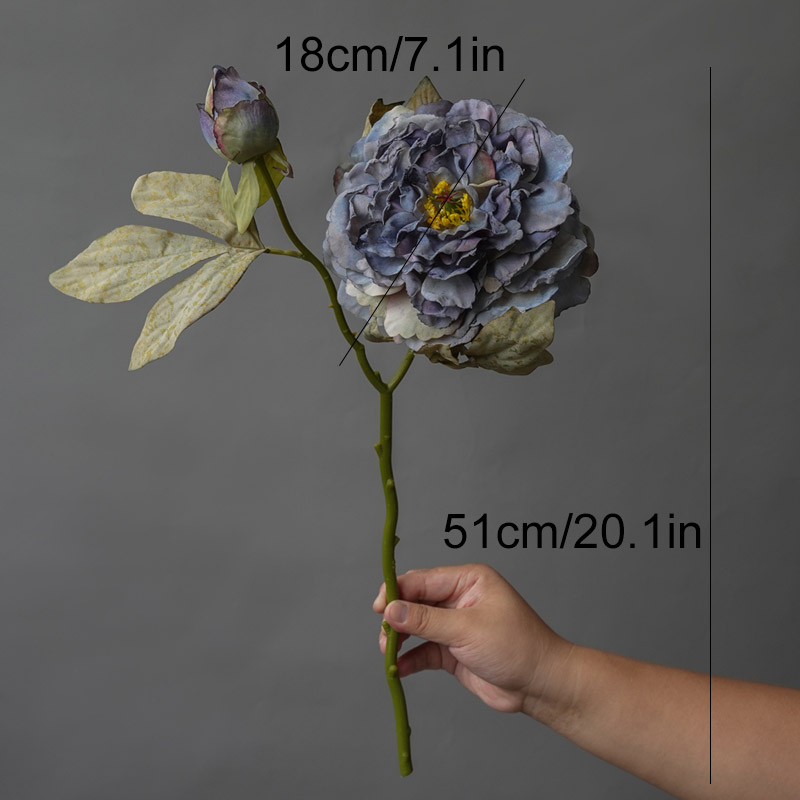 1 قطعة ضوء فاخر 2 رئيس الفاوان - مراجعة Photography Lighting Simulation وسعره